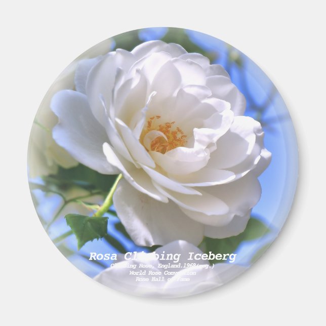 つ る ア イ ス バ ー MAGNET (Framsidan)