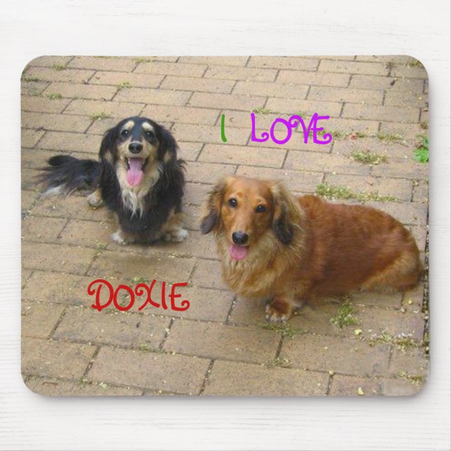 な か よ し ダ ッ ク anbudssökande anbudssökande musmatta (Framsidan)