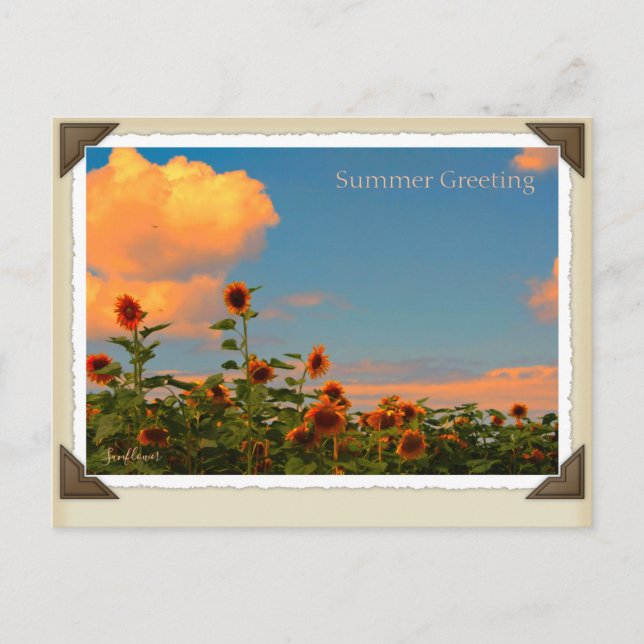 ひ ま わ り VYKORT (Framsida)