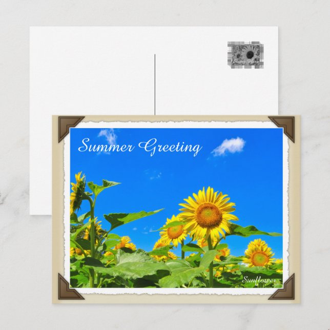 ひ ま わ り VYKORT (Fram/baksida)