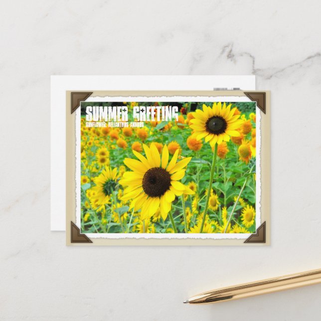 ひ ま わ り VYKORT (Fram/Back In Situ)