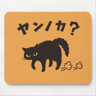 やんのかポーズの黒猫 / Funny Black Cat Crab Walk Musmatta