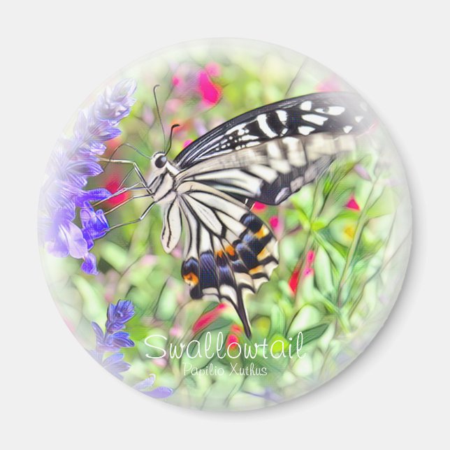 ア ゲ ハ チ ョ ウ マ budgivningsorder magnet (Framsidan)