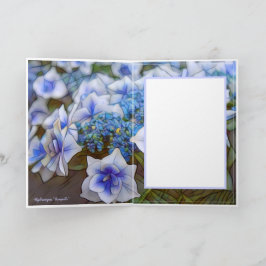 ア ジ サ [花] KORT