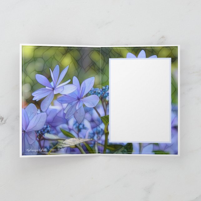 ア ジ サ [花] KORT (Inuti)