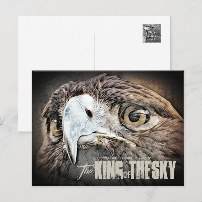 イヌワシ VYKORT (Fram/baksida)