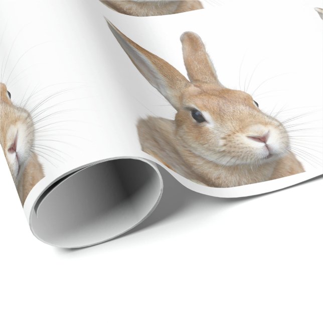 ウサギ PRESENTPAPPER (Rullad Hörn)