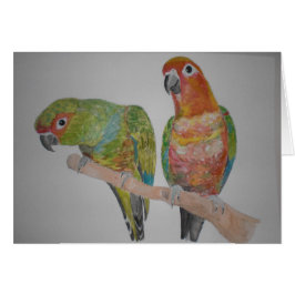 オウムパロット Conure parar att hänga ut Hälsningskort