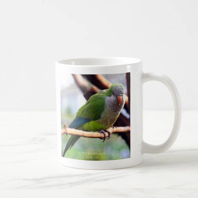 オキナインコ , Monk parakeet Kaffemugg (Höger)