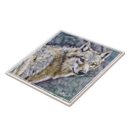 オ オ カ ミ KAKELPLATTA