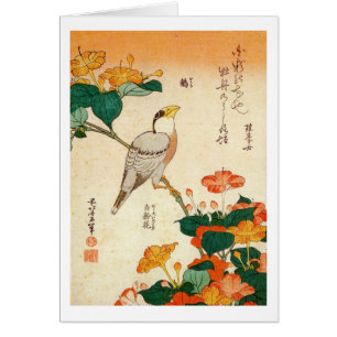 オ シ ロ イ ナ に bud, budgivningsorder Bird och Mirabil Hälsningskort