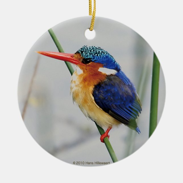 カワセミの優良製品 JULGRANSPRYDNAD KERAMIK (Framsidan)