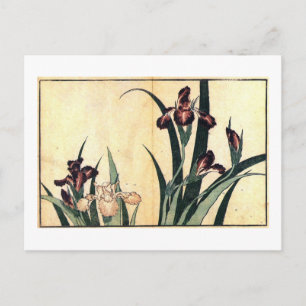 カ キ ツ タ, 北 斎 Irises, Hokusai, Ukiyo-e Vykort
