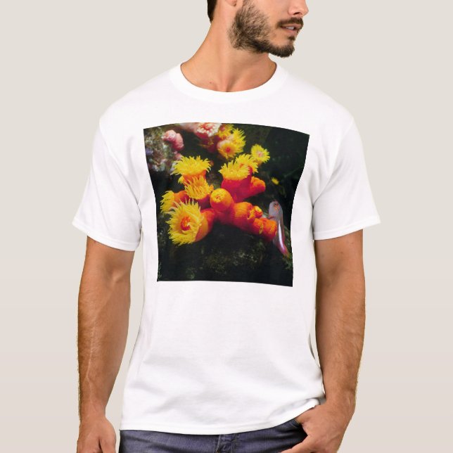 キサンゴ TEE (Framsida)
