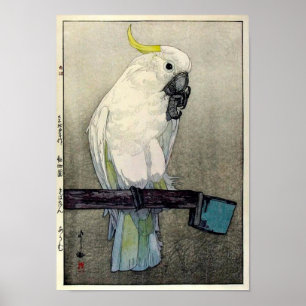 キ バ タ ン ウ ・, svavelkantig cockatoo, Yoshida Poster