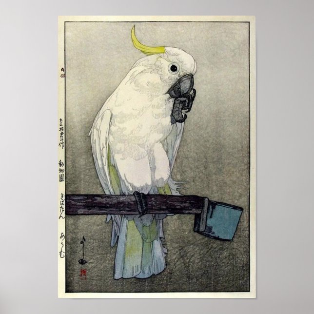 キ バ タ ン ウ ・, svavelkantig cockatoo, Yoshida Poster (Framsidan)