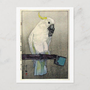 キ バ タ ン ウ ・, svavelkantig cockatoo, Yoshida Vykort