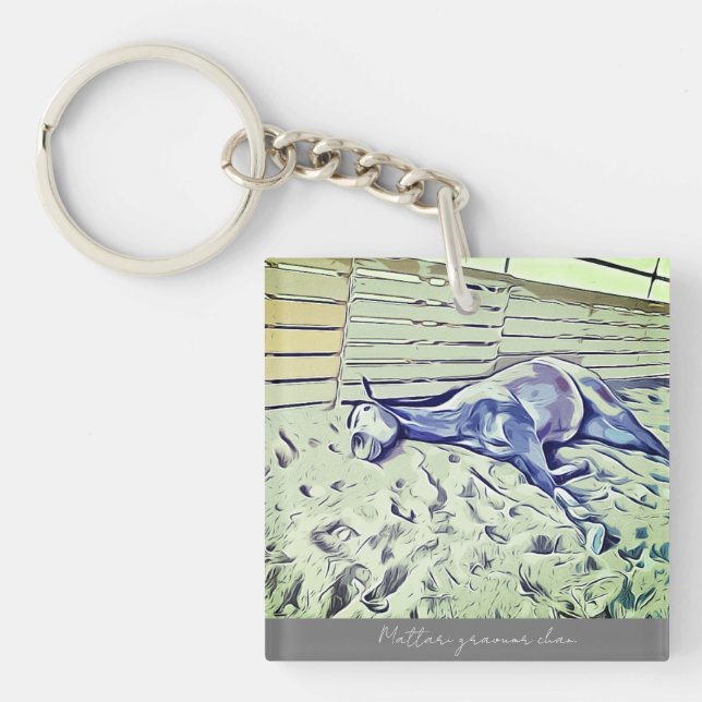 グラマーちゃんイラスト風アクリル (Framsidan)