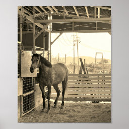 ケイメイ牧場 グラマーちゃん まるで置き物 POSTER