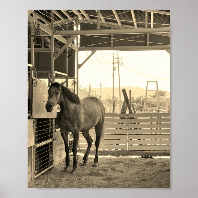 ケイメイ牧場　グラマーちゃん　まるで置き物 POSTER (Framsidan)