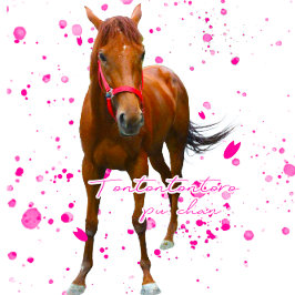 ケイメイ牧場 トントントントロちゃん 立ち姿&総柄 TYGKASSE