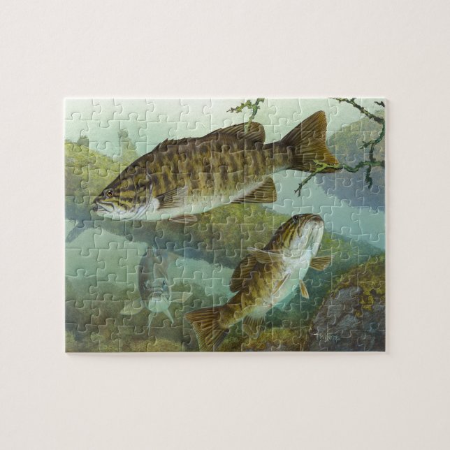 コ ク チ バ ス PUSSEL (Horisontell)