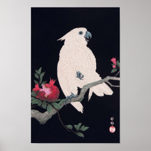 ザ ク ロ オ ウ ム, budgivningsbud budgivningsbud Cockato Poster