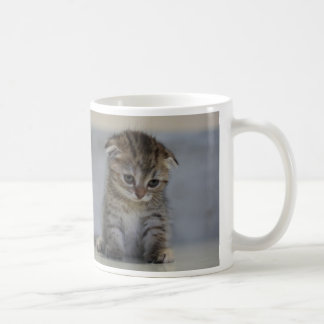 スコティッシュフォールド子猫 マグカップ KAFFEMUGG