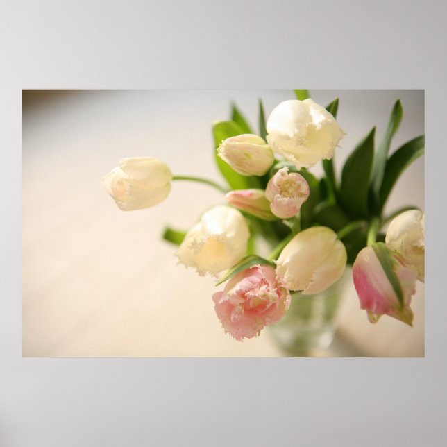 チ ュ ー リ ッ プ POSTER (Framsidan)