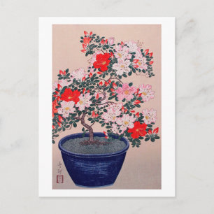ツ ツ ジ 盆 栽, 小 budgivningsbud Bonsai Azalea, Ohara K Vykort