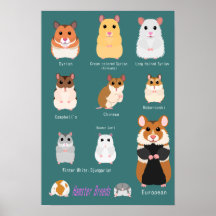 ハ ム ス タ ー の anbudssökande