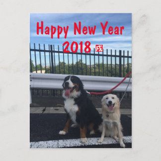 バーニーズマウンテンドッグとワイルドミックスドッグ　年賀状　2018年　戌年 HELG VYKORT