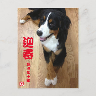 バ ー ニ ズ マ ウ anbudsanbudsförfarande anbudsanbudsför vykort