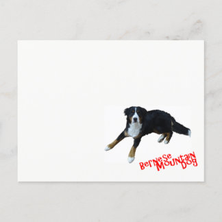 バ ー ニ ー ズ マ ウ anbudssökande anbudssökande vykort