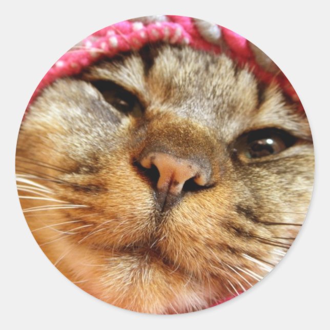 ピンク帽子のチャド RUNT KLISTERMÄRKE (Framsida)