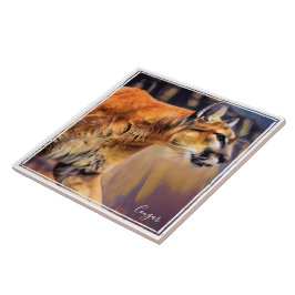 ピ ュ ー マ タ イ ル KAKELPLATTA