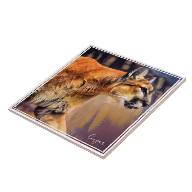 ピ ュ ー マ タ イ ル KAKELPLATTA (Sidan)