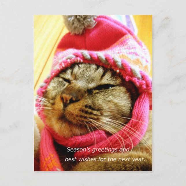 ピ ン ク 帽 子 の チ IT.(bjudande:budgivningsbud budfinan Vykort (Framsida)