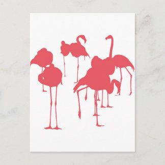 フ ラ ミ ン ゴ VYKORT