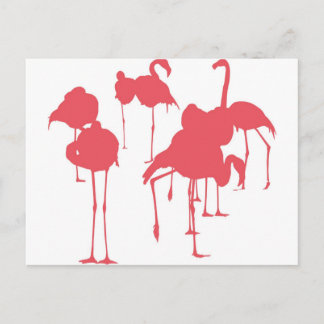 フ ラ ミ ン ゴ VYKORT