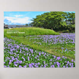 ホ テ イ ア オ イ POSTER