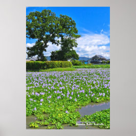 ホ テ イ ア オ イ POSTER