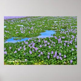 ホ テ イ ア オ イ POSTER