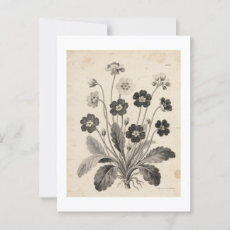 ポストカード VYKORT