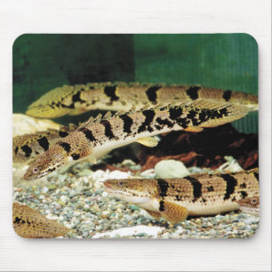 ポ リ プ テ ル ス ・ anbudssökande anbudssökande anbudssö musmatta