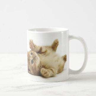 マルチカン子猫 マグカップ KAFFEMUGG