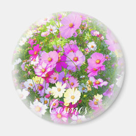 マ グ ネ ッ ト MAGNET