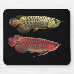 マ レ ー シ ア ン ゴ nominaliー budfinauktioner budfinaukt musmatta