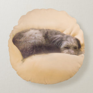 ミックス犬と至福の眠りを(イエロー) ラウンドクッション RUND KUDDE