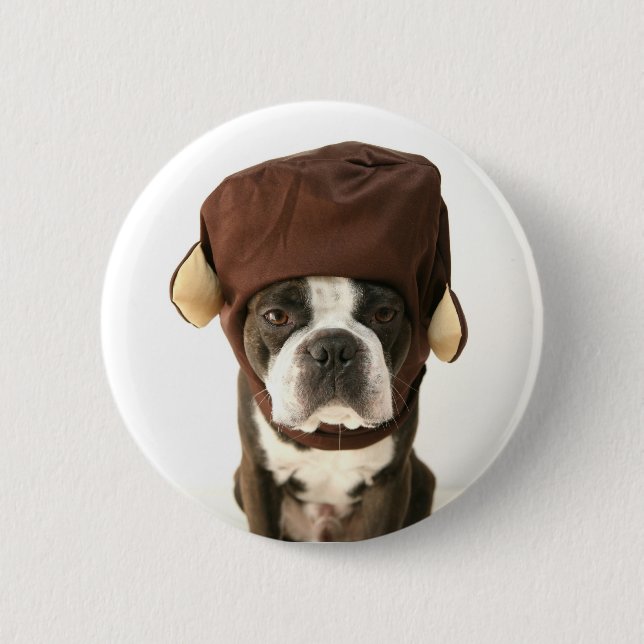 モンキー KNAPP (Framsida)